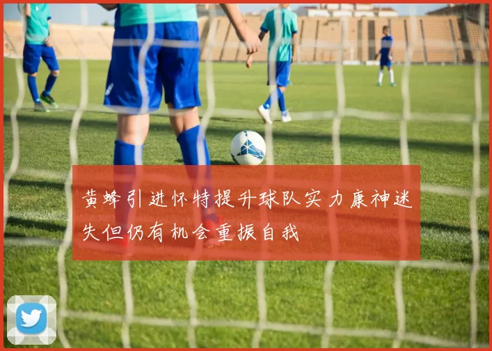 黄蜂引进怀特提升球队实力康神迷失但仍有机会重振自我