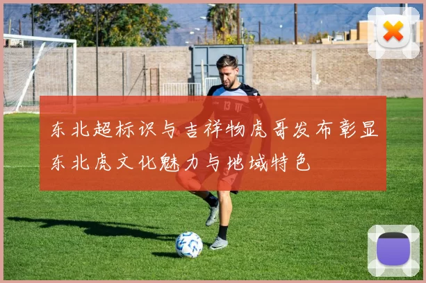 东北超标识与吉祥物虎哥发布彰显东北虎文化魅力与地域特色